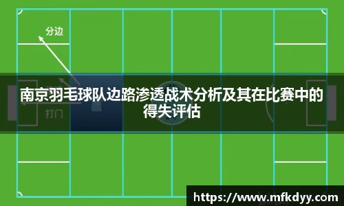 南京羽毛球队边路渗透战术分析及其在比赛中的得失评估