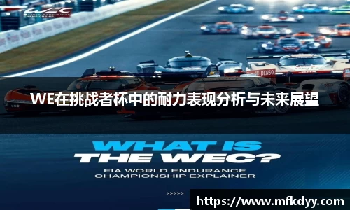 WE在挑战者杯中的耐力表现分析与未来展望