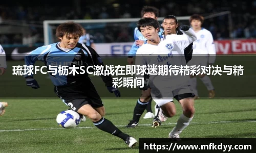 琉球FC与枥木SC激战在即球迷期待精彩对决与精彩瞬间
